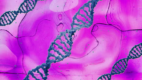 Animation-Von-Blauen-DNA-Strängen,-Die-Auf-Einer-Rosa-Flüssigkeit-Rotieren,-Die-Sich-über-Kacheln-Bewegt