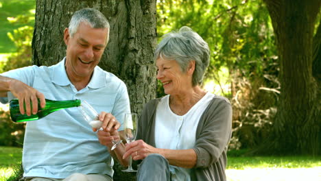 Retired-couple-drinking-champagne-in-the-park