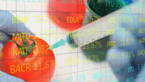 Animation-of-financial-data-processing-over-syringe-with-needle-piercing-tomato