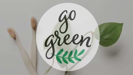 Animation-of-go-green-text-and-leaf-logo-over-wooden-toothbrushes-and-leaves-on-grey