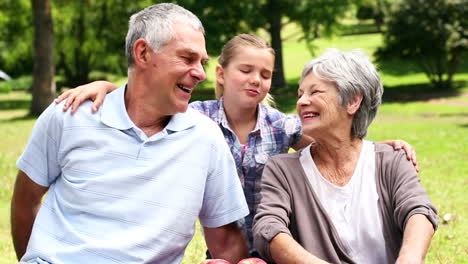 Feliz-Pareja-De-Ancianos-Relajándose-En-El-Parque-Con-Su-Nieta