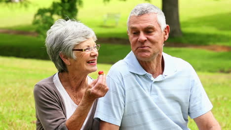 Affectionate-senior-couple-chatting-in-the-park-