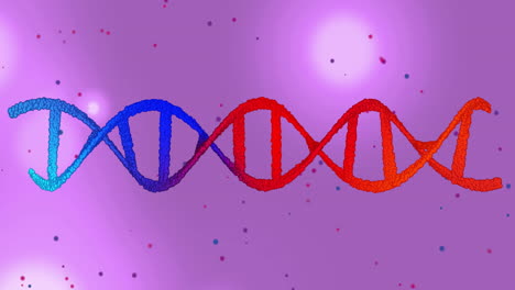 Animation-Eines-Roten-Und-Blauen-DNA-Strangs-über-Lichtpunkten