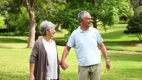 Retired-couple-walking-in-the-park-together