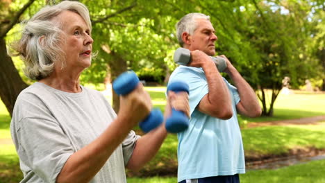 Rentnerpaar-Beim-Gewichtheben-Im-Freien