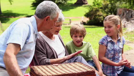 Großeltern-Machen-Mit-Ihren-Enkeln-Ein-Picknick