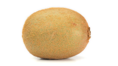 Kiwifrucht-Rotierend-