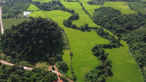 Atemberaubende-Vogelperspektive-Auf-Reisfelder-In-Der-Landschaft-Von-Laos