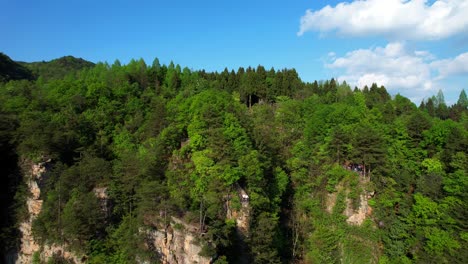 Paar-An-Einem-Aussichtspunkt-Im-Tianzi-Berg-Inmitten-üppiger-Grüner-Landschaft-Und-Hoch-Aufragender-Felsformationen
