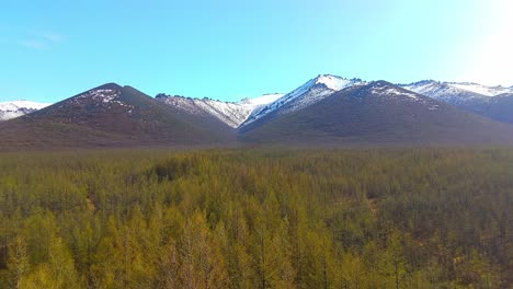Un-Tranquilo-Paisaje-Montañoso-Con-Picos-Cubiertos-De-Nieve,-Un-Exuberante-Bosque-Verde-Y-Cielos-Azules-En-Un-Día-Despejado