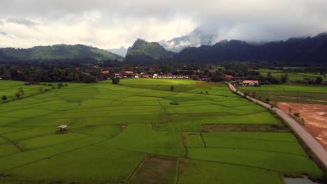 Panoramic-bird's-eye-view-of-a-rice-paddy-field-in-Naka,-rural-Laos