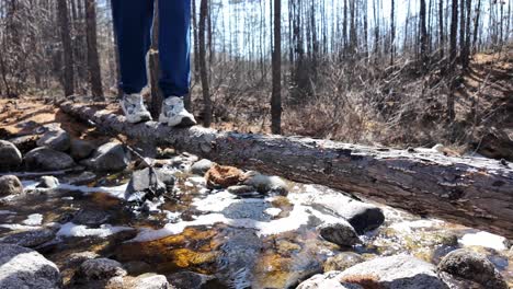 A-person-carefully-walks-across-a-log-spanning-a-stream-in-the-forest