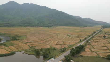 Drone-Rise-Over-Harvested-Fields-In-Central-Vietnam-Near-Lang-Co