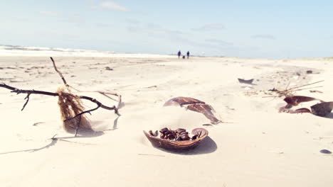Sandkrabbenschalen-Am-Strand-Mit-Paar-Spazierendem-Hund-Im-Hintergrund-Silhouette