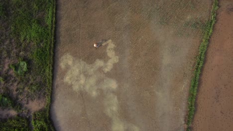 Luftbild-Eines-Bauern,-Der-Ein-Reisfeld-In-Südostasien-Bewirtschaftet