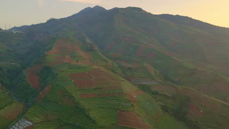 Terrassenlandwirtschaftsplantage-Auf-Dem-Vulkan-Mount-Prau,-Indonesien,-Luftaufnahme