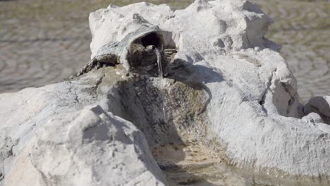 Ein-Froschähnlicher-Brunnen-Im-Stadtzentrum-Von-Entiklar---Niclara,-Südtirol,-Italien