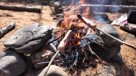 Two-hot-dogs-roasting-over-a-blazing-campfire-surrounded-by-large-rocks-in-a-forest-clearing-on-a-sunny-day