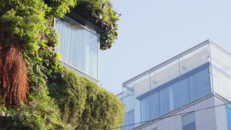 Bird-lands-in-lush-vertical-garden-on-side-of-building-in-Stockholm,-telephoto