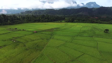 Atemberaubender-Panoramablick-Auf-Reisfelder-In-Der-Nähe-Von-Vang-Vieng-In-Laos