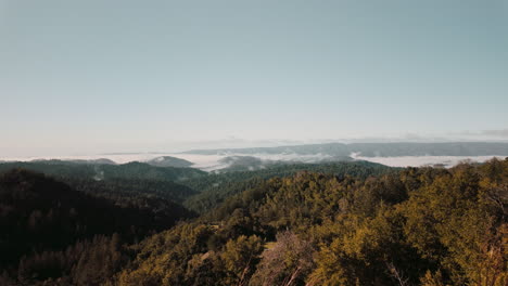 Langsame-Schwenkaufnahme-Der-Santa-Cruz-Mountains-Mit-Blick-Auf-Ein-Meer-Aus-Bäumen-Und-Tief-Liegenden-Wolken