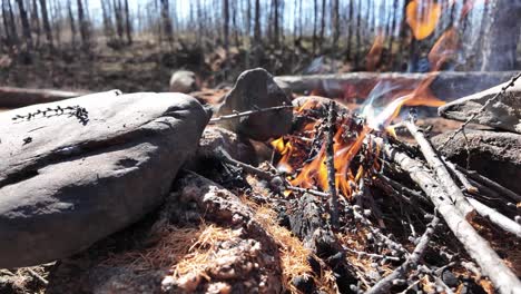 Ein-Kleines-Lagerfeuer-Brennt-Zwischen-Felsen-Und-Trockenen-Blättern-Auf-Einer-Waldlichtung-An-Einem-Ruhigen-Herbstnachmittag,-Umgeben-Von-Kahlen-Bäumen