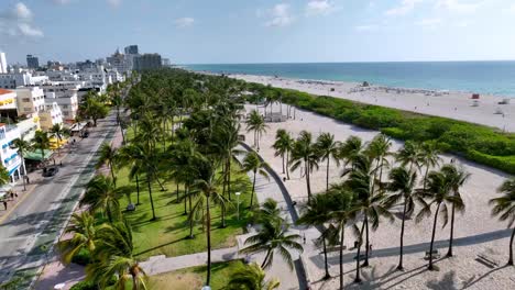 Luftaufnahme-über-Palmen,-Die-Sich-Bis-Nach-South-Beach,-Miami-Beach,-Florida-Erstrecken