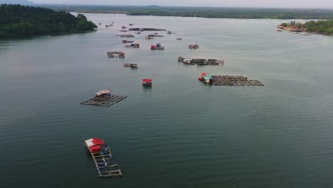 Aerial-drone-flyover-capturing-the-serene-beauty-of-traditional-floating-fish-farms,-where-wooden-structures-with-cages-and-nets-harness-the-calm-waters-for-thriving-aquaculture