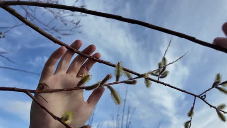 A-hand-extends-upwards,-grasping-towards-a-tree-branch-above
