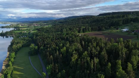 Aerial---evergreen-forest-near-Greifensee-lake-during-golden-hour,-Switzerland