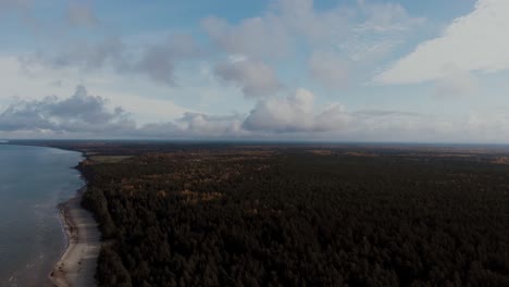 Orbital-drone-shot-above-the-forest-next-to-baltic-sea