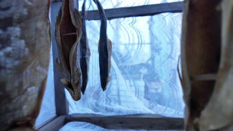 Freshly-caught-fish-are-hung-to-dry-on-a-wooden-rack-near-the-seaside,-set-against-a-backdrop-of-lace-curtains-and-a-clear-sky