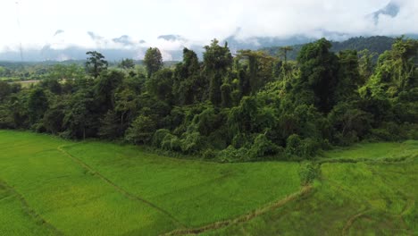 Drone-advancing-over-rice-fields-and-native-forest-in-the-interior-of-Laos,-Southeast-Asia