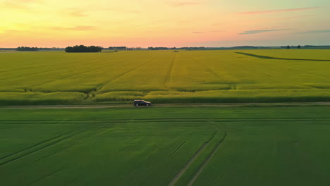 Descending-drone-flight-over-enormous-green-landscapes-with-a-car-on-a-road