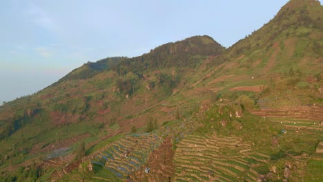 Kartoffelplantage-Auf-Einem-Steilen-Hügel-Im-Indonesischen-Hochland,-Luftaufnahme-Nach-Vorn