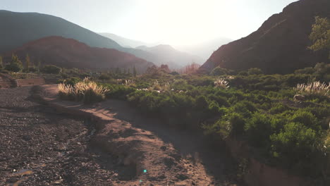 Rebaño-De-Ovejas-Caminando-Con-El-Hermoso-Telón-De-Fondo-De-Purmamarca-Y-La-Imponente-Cordillera-De-Los-Andes