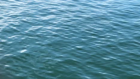 Gentle-waves-ripple-across-the-surface-of-a-calm-blue-ocean-on-a-sunny-day