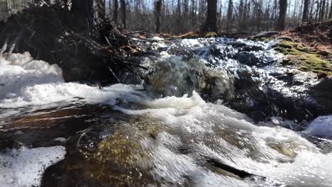 Klares-Wasser-Fließt-Schnell-Durch-Einen-Wald-Und-Glitzert-Im-Sonnenlicht,-Während-Die-Umliegenden-Bäume-Schatten-Werfen