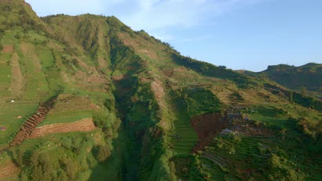 Plantación-De-Patatas-En-Terrazas-En-Las-Tierras-Altas-Rurales-De-Indonesia,-Plataforma-Rodante-Aérea-En