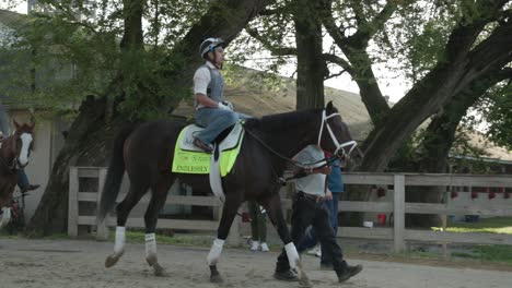 Footage-of-Endlessly,-a-race-horse,-warming-up-during-morning-workouts-at-Churchill-Downs-in-preparation-for-the-Kentucky-Derby
