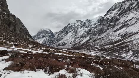 Alto-Valle-Alpino-De-Kyanjin-Gompa
