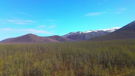 Eine-Atemberaubende-Luftperspektive-Zeigt-Einen-Dichten-Wald-Mit-Sanften-Bergen-Unter-Einem-Klaren-Blauen-Himmel-Und-Unterstreicht-Die-Natürliche-Schönheit-Und-Die-Weite-Ausdehnung-Der-Landschaft