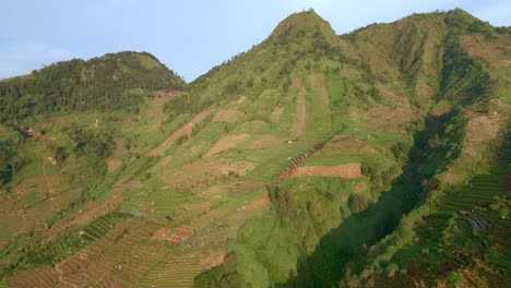 Montaña-Verde-Delantera-Aérea-Con-Plantación-De-Patatas-Bajo-La-Luz-Del-Sol