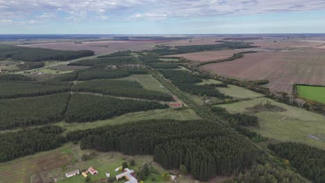 Aerial-drone-view-Uruguay-countryside-trees-nature