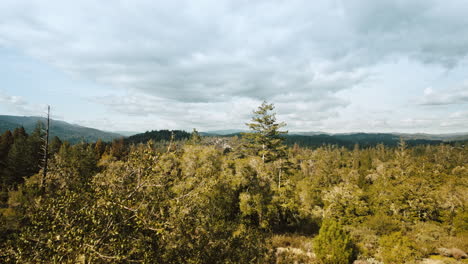 Timelapse-shot-looking-out-over-the-Santa-Cruz-Mountains-with-large-redwood-trees-and-clouds-moving-by