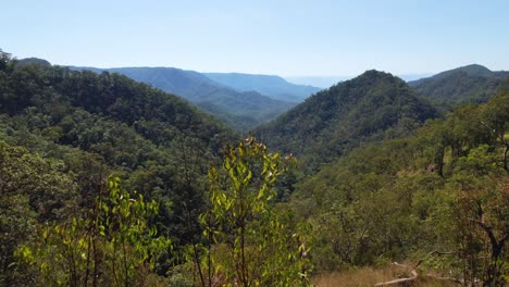 4K-Drohnen-Naturvideo,-Das-Vorwärtsfliegt-Und-Ein-Paar-Zeigt,-Das-Die-Landschaften-Queenslands,-Australiens-Mit-üppigem-Grünen-Regenwald-Und-Wunderschönen-Bergen-Betrachtet