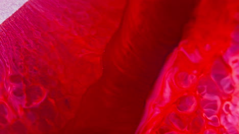 Tinta-Roja-Brillante-Arremolinándose-En-El-Agua-Creando-Fascinantes-Patrones-Y-Texturas-Abstractas