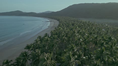 Pan-De-Drones-De-Playa-De-Arena,-Olas-Del-Océano-Y-Bosque-Costero-En-Filipinas