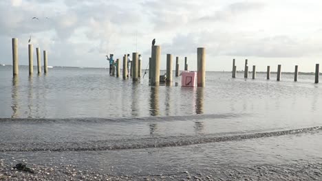 Pescando-En-Un-Muelle-Inundado,-Florida