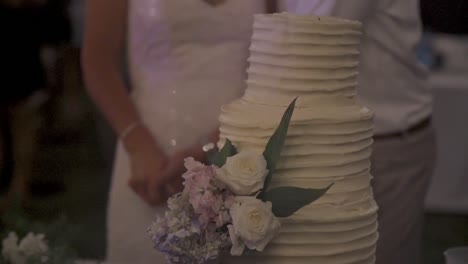 Bridge-and-Groom-cutting-wedding-cake-together